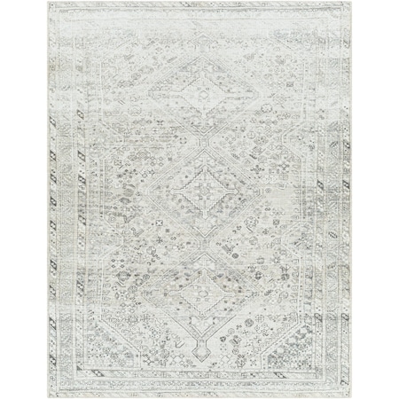 Livabliss Amelie AML-2379 Machine Washable Area Rug AML2379-5373